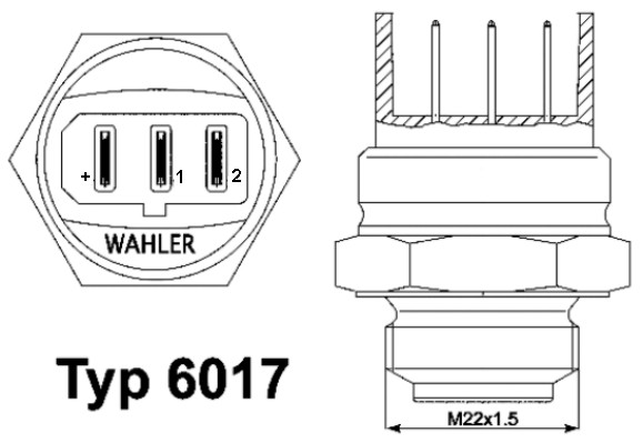 6017