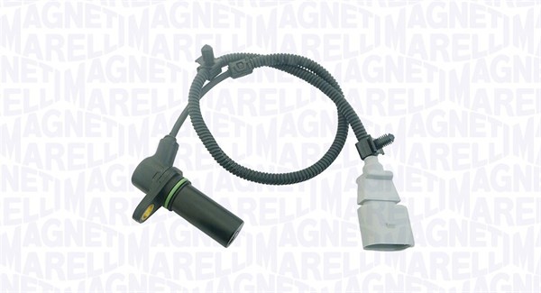 CIF_SAG245_WR