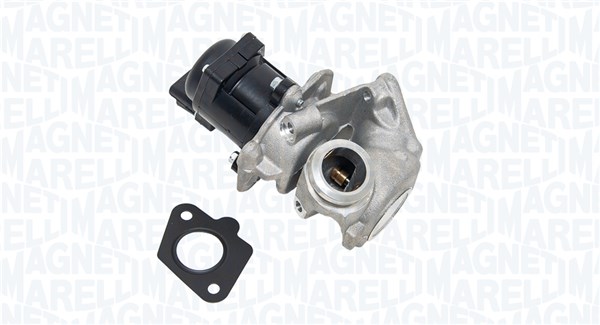 EGR_EV033_1-WR