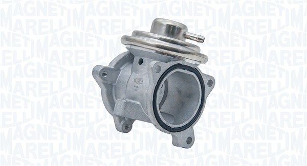 EGR_EV082_1_WR