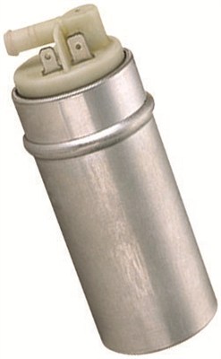 TPF_MAM00049_WR