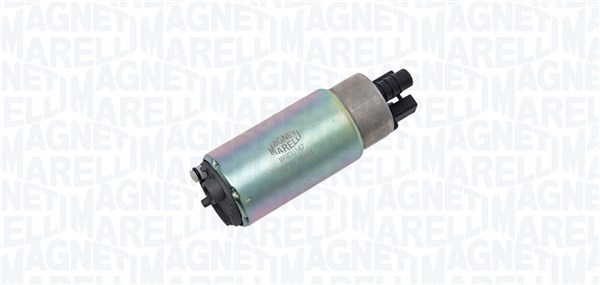 TPF_MAM00147-WR